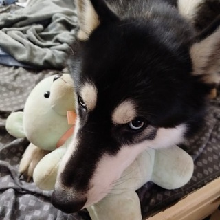 А поговорить? 😉