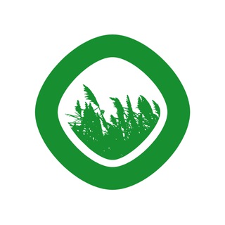 Первый Питомник – все о мискантусе