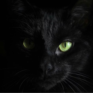 Мистика рядом