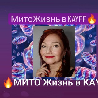 МИТО ЖИЗНЬ☀ В KAYFF