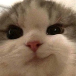 митряшкина