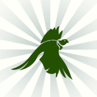 Мы вместе pro песни"🎶🎙 💿💽🔈🎵