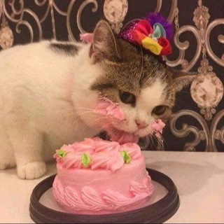 Низкокалорийная еда