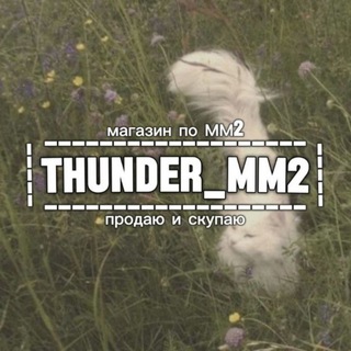 MM2 SHOP–THUNDER /1111+/