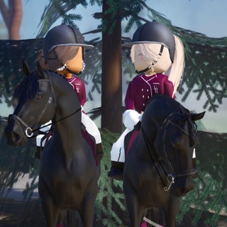 Grinberg Dressage | STD