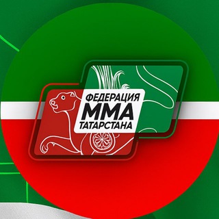 Федерация ММА РТ