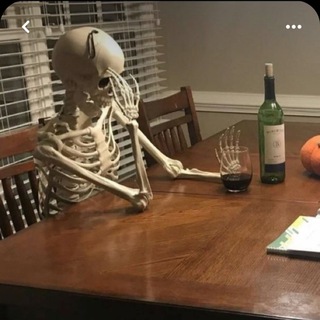 Анатомия 🧠