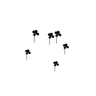 метаморфоз