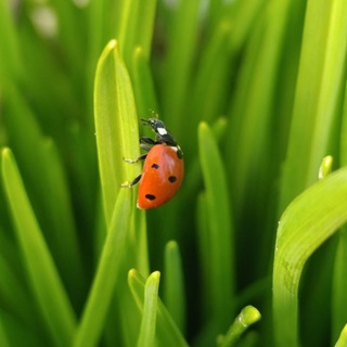 ⚜️Фото для души⚜️