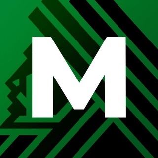 МНЕНИЕ Салават Юлаев Уфа