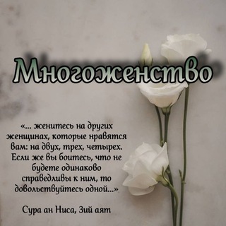 ･︎･︎ Многоженство ･︎･︎
