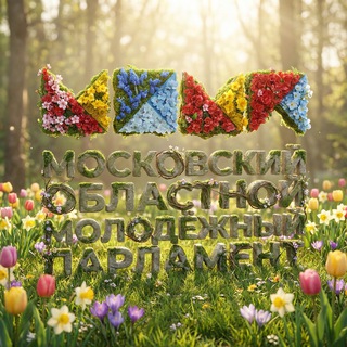 Молодёжные парламенты Подмосковья