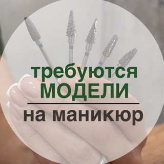 Модель БАРНАУЛ