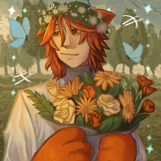 ×•mofki shop•×