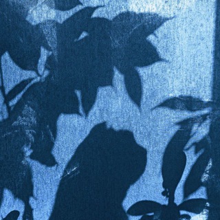 МОГИЛЬНЫЙ ПЛАТОН