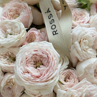 С любовью Мохру🩵