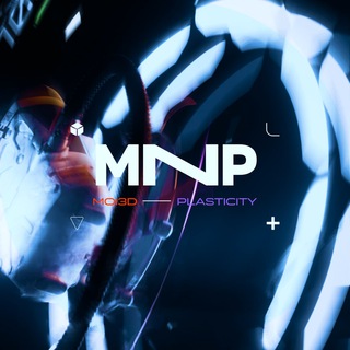 MNP // Moi & Plasticity