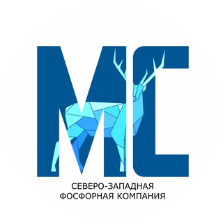 Молодежь СЗФК