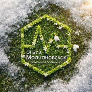 Молчановская районная больница