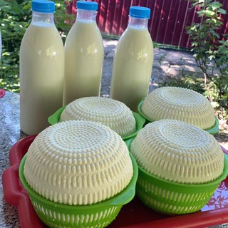 Молочка у Паканат