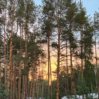 2 смена Молодёжный 25.06-12.07