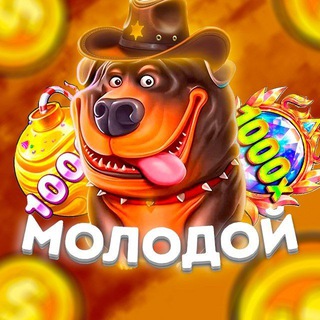 МОЛОДОЙ ЛУДИК