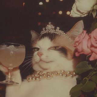 mindful moments🌬️