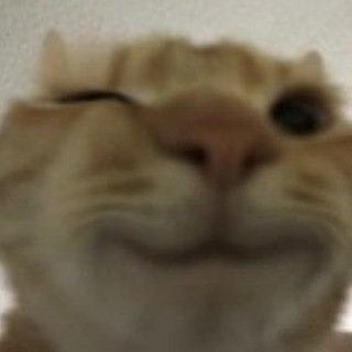 ты я и анекдот