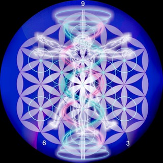 РАЗУМ МОНАДЫ.