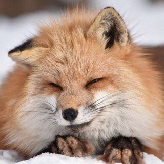 🎄ཀ👁ℵངᜎཥ👁ཋёཥང☃️