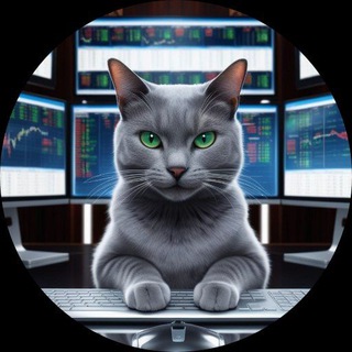 #Кот_Аналитика