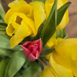 закупки Китай | заработок удалённо