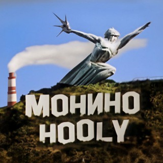 Типичное МОНИНО™