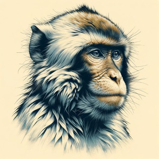 Обезьяны Гиф/Стикеры