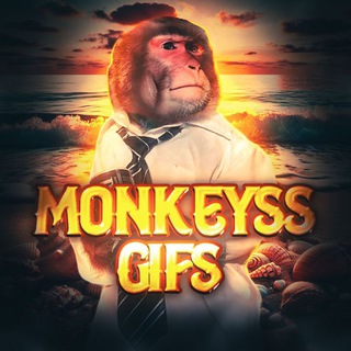 Гифки с бибизянами🍂🍁