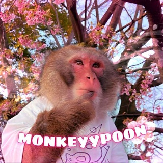 🌬ⲡⲉպⲉⲣⲁ ⲙⲟⲏⲕⲉ 🕸