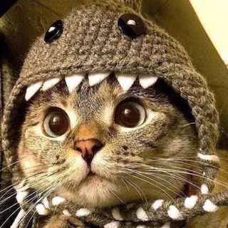 Лига Приколов