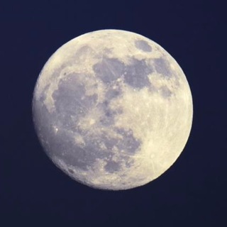 Moonglish|Английский для занятых взрослых