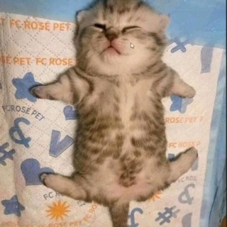 Гараж Разработчика