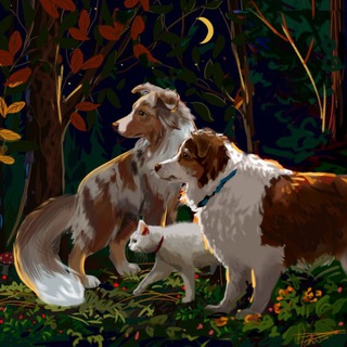 Морошколяндия