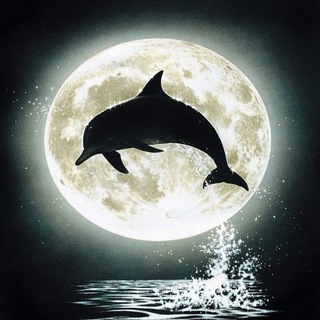 Морской мир 🐬