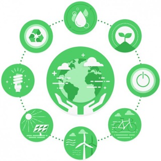 Экологические медиа