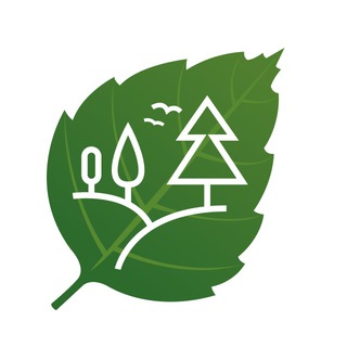 К лесу передом