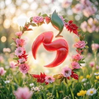 Московское здоровье🍎