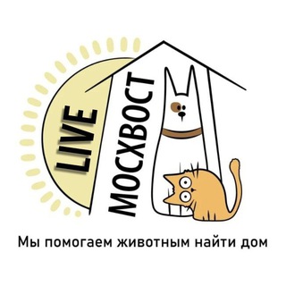 МОСХВОСТ LIVE
