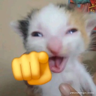 Moskowskiy12 | РОЗЫГРЫШИ СКИНОВ CS2