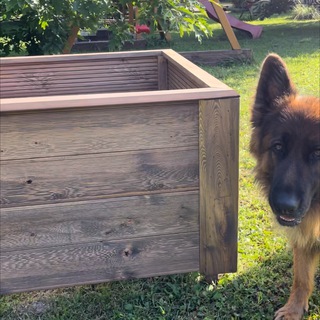 Моспил | Построим будущее вместе