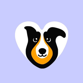 MOSPRIUT - СОБАКИ И КОШКИ ИЗ ПРИЮТА (МОСКВА, МО)