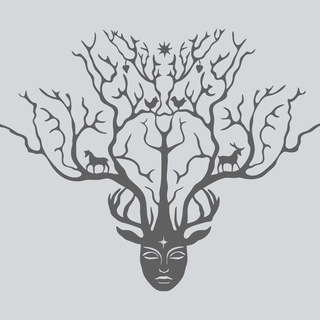 Ресторан MOSS