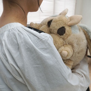 Мотыльковые пузики